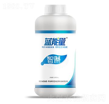 1000ml有機(jī)水溶肥料-智藻-藍(lán)能量