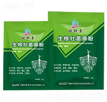 生根壯苗原粉-搖錢素作物