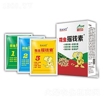 花生搖錢素-搖錢素作物