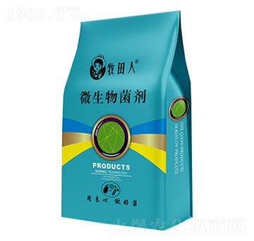 植物營養(yǎng)師-牧田人EM菌-益泰生物