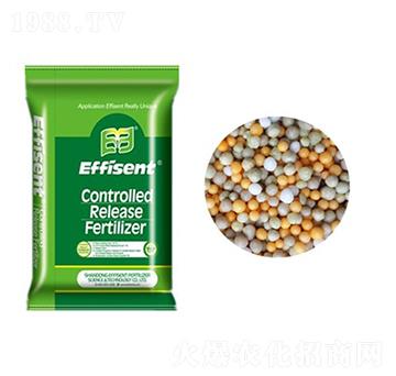 全控控釋肥-菲申特