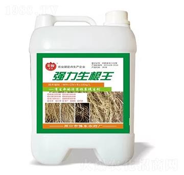 強(qiáng)力生根王-豐悅-史迪克