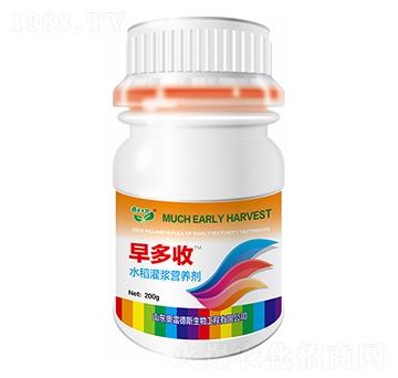 水稻灌漿營養(yǎng)劑-早多收-奧雷德斯