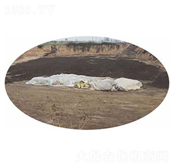 發(fā)酵大蒜專用肥-鄲農(nóng)肥業(yè)