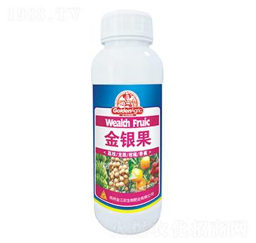 金銀果-金三農(nóng)