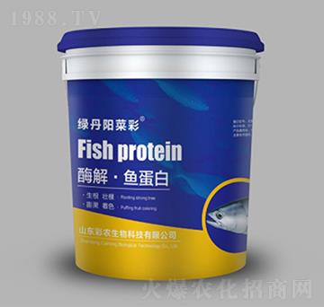 酶解·魚(yú)蛋白-綠丹陽(yáng)菜彩