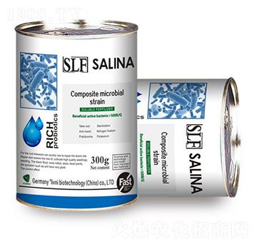 SLF艾瑞特復(fù)合微生物原菌種-銀米灘生物