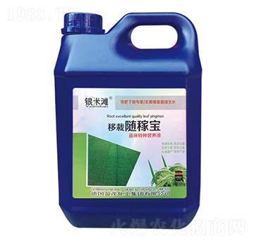 移栽隨嫁寶-銀米灘生物