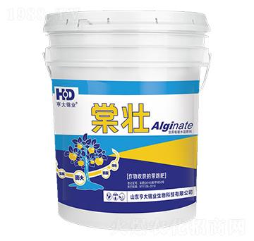 含腐殖酸水溶肥-棠壯-亨大錦業(yè)