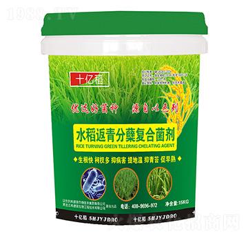 水稻返青分蘗復合菌劑-十億稻-希碧萊生物