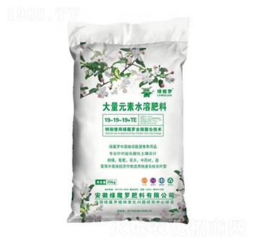 大量元素水溶肥19-19-19+TE-綠魔羅