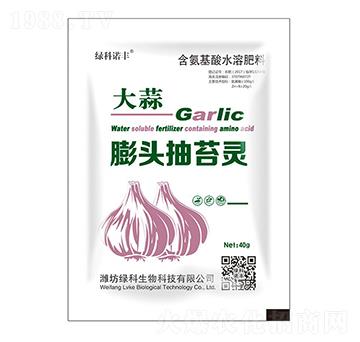 大蒜膨頭抽苔靈含氨基酸水溶肥料-綠科生物