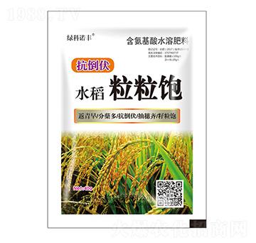 水稻粒粒飽含氨基酸水溶肥料-綠科生物