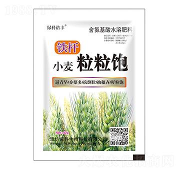 小麥粒粒飽含氨基酸水溶肥料-鐵桿-綠科生物