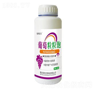 ���������-�G���Z�S-�G������