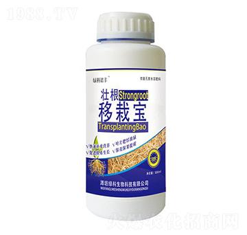 �Ѹ����Ԍ�-�G���Z�S-�G������