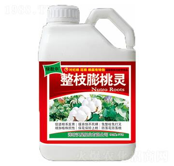 ��֦�����`-���ǷʘI(y��)