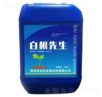 白根先生-禾潤杰