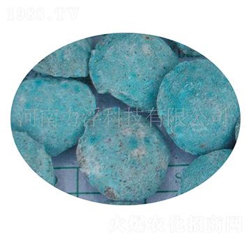 �ؙ������ؘ��-�����Ƽ�