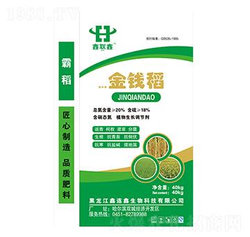 金錢稻-鑫聯(lián)鑫-中哈高科