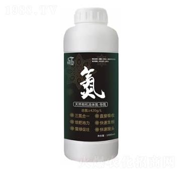 導(dǎo)氮-初唐-睿之澤