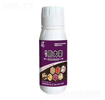 地下膨大素-初唐-睿之澤