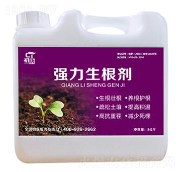 強力生根劑-初唐-睿之澤