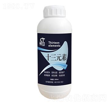 十三元素-初唐-睿之澤