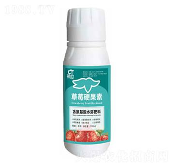 草莓硬果素-初唐-睿之澤