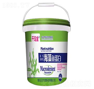 海藻魚(yú)蛋白桶肥-千足金