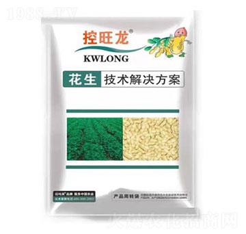 花生控旺膨果一遍成-控旺龍-眾豐農(nóng)資