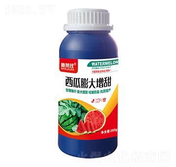 西瓜膨大增甜-施萊佳-盈豐農(nóng)業(yè)