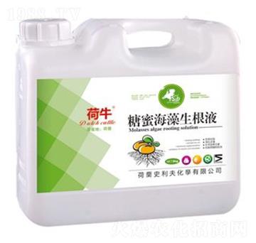 糖蜜海藻生根液-荷牛-史利夫