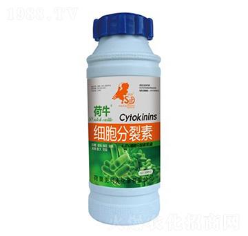 細(xì)胞分裂素-荷牛-史利夫