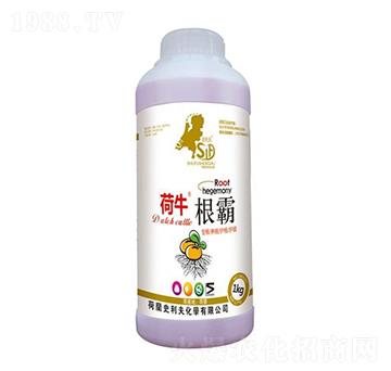 根霸-荷牛-史利夫