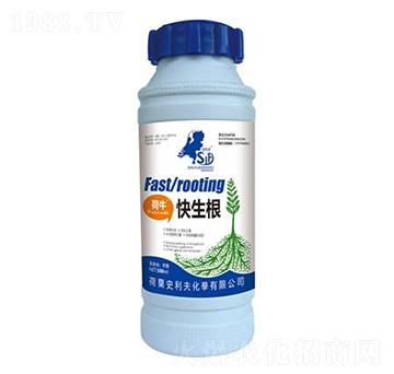 荷?？焐?史利夫