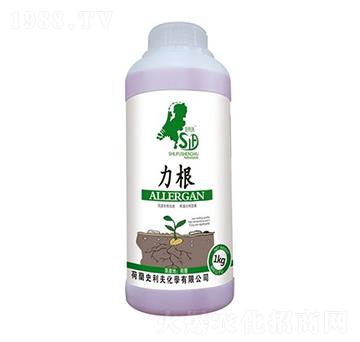 1kg力根-荷牛-史利夫