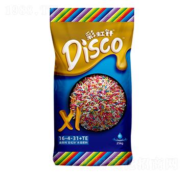 彩虹針?biāo)芊柿?6-4-31+TE-迪斯科