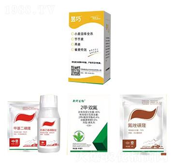 С�����ȫ��-����-�����_