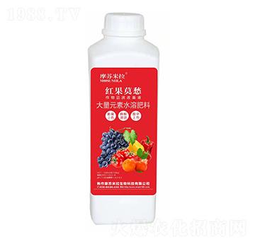 大量元素水溶肥料-紅果莫愁-摩蘇米拉