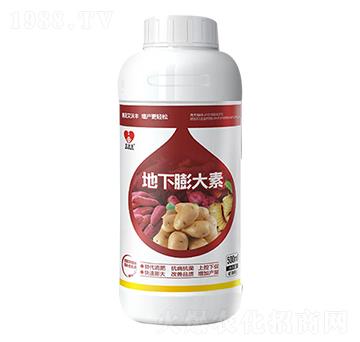 ���������-�����S