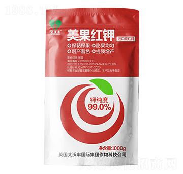 �����t�-�����S