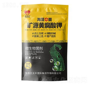 �VԴ�S�����-�����S