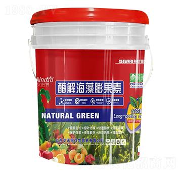 酶解海藻膨果素-艾諾得