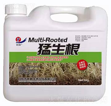 ������-����