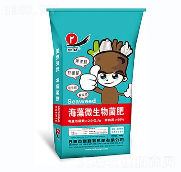 ����΢�������-����