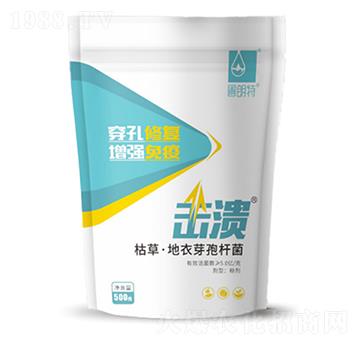 擊潰枯草地衣芽孢桿菌-圃朗特