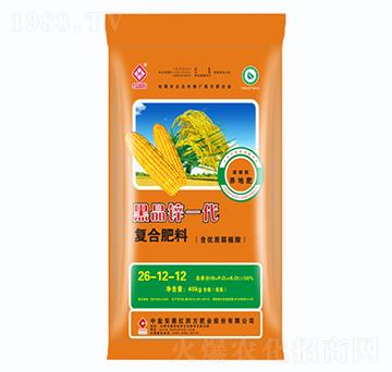 ����ֲ���B(y��ng)���͏�(f��)�Ϸ���26-12-12-�ھ��\һ��-�t�ķ�