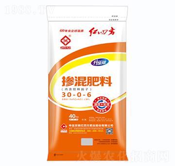 �������30-0-6-�t�ķ�