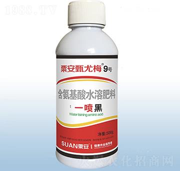 一噴黑-甄尤梅9號(hào)-粟安